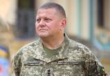 Главком ВСУ Залужный назвал сильным и непредсказуемым врагом начальника Генштаба РФ Герасимова