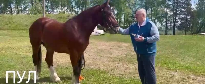 Лукашенко подарили коня