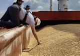 Bloomberg: зерновую сделку с Россией и Украиной продлят после 18 мая