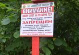 Почти по всей Беларуси введены запреты и ограничения на посещения лесов