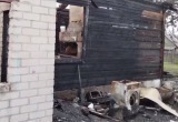 Страшная трагедия в Пинском районе. Сгорела семья с маленькими детьми