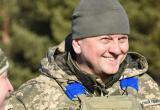 Украина опровергает информацию о ранении Залужного