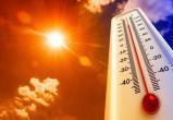 Самые жаркие годы за всю историю спрогнозировал климатолог
