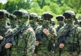 Президент Сербии Вучич перевел армию в состояние максимальной готовности