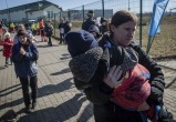Более 24 тысяч украинцев приехали в Беларусь в 2023 году