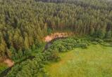 В 16 районах Беларуси сняли запрет и ограничение на посещение лесов
