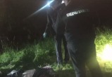 Труп 20-летнего парня обнаружили в реке на границе Беларуси и Польши