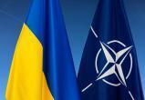 Экс-генсек НАТО Расмуссен допустил отправку войск альянса в Украину