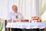 Лукашенко: Беларусь и Россия готовят совместный план действий против санкций