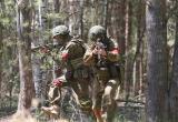 С 13 июня в Беларуси стартуют командно-штабные учения