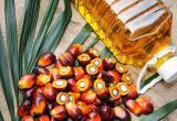 Пальмовое масло – это нефтяные отходы