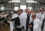 Лукашенко потребовал отказаться от строительства «диких ферм»