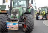 Польша шокирована объемом импортируемого из Украины зерна