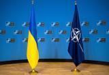 Зеленский призвал Столтенберга созвать Совет Украина – НАТО