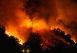 В Турции масштабные лесные пожары подбираются к отелям с туристами