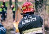 Почти всем сотрудникам МЧС в Беларуси выдали оружие. Зачем?
