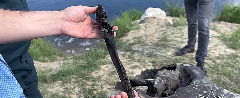 Останки мамонта нашли гомельские спасатели в реке Беседь