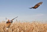 Сезон охоты на пернатых откроют в Беларуси 12 августа