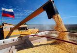 Россия бесплатно поставит 50 тысяч тонн зерна шести странам Африки