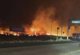 На Гавайях из-за лесных пожаров выгорел целый город и погибли 36 человек