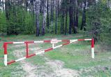 Посещение лесов ограничили в 56 районах Беларуси