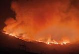 С Тенерифе эвакуируют жителей из-за лесного пожара