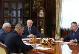 Лукашенко провел совещание по работе лесного хозяйства Беларуси