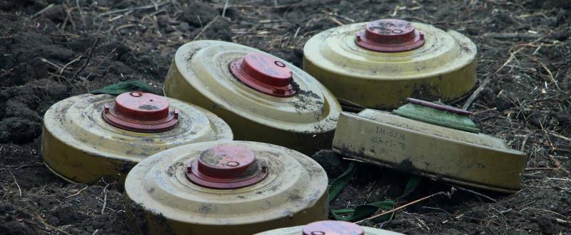 Несколько мин взорвалось на границе Беларуси и Украины