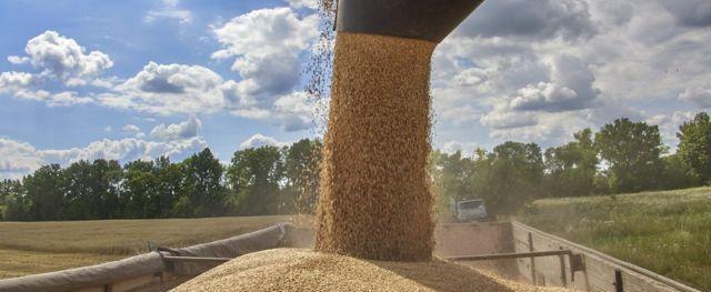 Путин: Россия готова реанимировать зерновую сделку