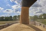 Путин: Россия готова реанимировать зерновую сделку