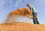 Украина исключила уступки для возобновления зерновой инициативы