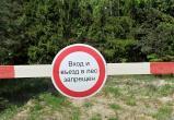 В 99 районах Беларуси ввели ограничения и запреты на посещение лесов
