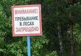 По всей Беларуси запретили или ограничили посещение лесов