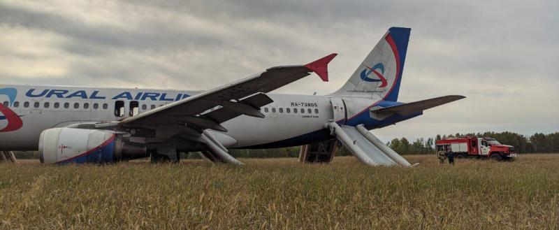 Самолет со 160 пассажирами незапланированно сел в поле под Новосибирском