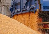 Польша запретит ввоз украинского зерна после 15 сентября