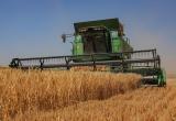 Словакия не пустит в страну украинское зерно