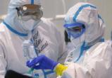Вирусологи предупредили о новом заразном штамме коронавируса «пирола»