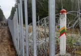Литва хочет отгородиться забором от Беларуси даже на болотах