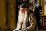 Умер актер, сыгравший профессора Дамблдора в "Гарри Поттере"