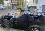 За сутки 22 автомобиля привалило деревьями в Беларуси