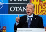 Президент Турции Эрдоган одобрил вступление Швеции в НАТО