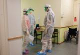 В России выявили 10 случаев заражения штаммом коронавируса «пирола»