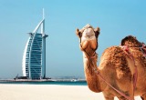 6 арабских стран сделают единую визу