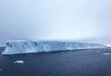 Самый крупный в мире айсберг может исчезнуть в ближайшее время