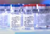 В гомельской поликлинике медсестра уничтожила 92 тысячи доз вакцин по указанию заведующей