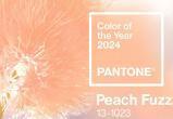 Институт Pantone объявил главный цвет 2024 года