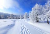 Синоптик Дмитрий Рябов рассказал, какой будет погода этой зимой в Беларуси