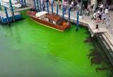 Экоактивисты окрасили Большой канал в Венеции в зеленый цвет