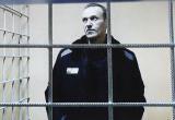 Песков прокомментировал исчезновение Навального