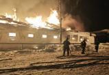 8 лошадей сгорели во время пожара в Москве